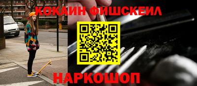 тгк Бердск